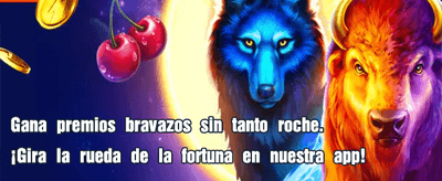 ¡Gana hoy con Penbet 365!